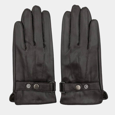 OLD MONEY Gloves